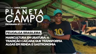 Caiçara tradition gains momentum with seaweed farming | Planeta Campo - ep. 7 part 5