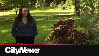 Human trafficking survivor in battle with CRA