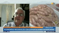 N6 - Gonzalo Álvarez Maldonado - Economías regionales con exportaciones estancadas