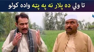 تا ولي ده پلار نه په پټه واده کولو || Kore Ore || Pashto Comedy || AVT Khyber