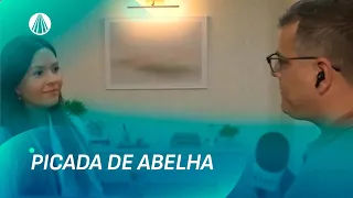 Picada de abelha: saiba como agir em caso de ataque ou reação alérgica | TJ Aparecida