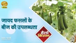 Hello Kisan | हैलो किसान- जायद फसलों के बीज की उपलब्धता | DD Kisan | 25/02/2026