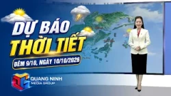 Weather Forecast for the Night of October 9 and October 10, 2026