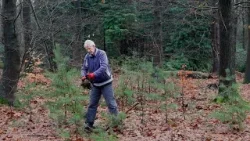 Bomen opgraven in Ede voor meerbomen.nu