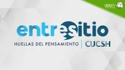 Entre sitio | Segundo piso en Av. López Mateos Entre sitio | Segundo piso en Av. López Mateos