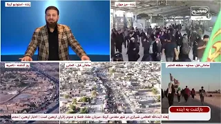 زن مسیحی در کربلا چه دید که شیعه شد؟ | گزارش اختصاصی از مشایه اربعین