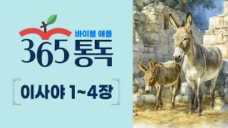 [Bible Reading Day 202] Reading the Bible like a story, Bible Apple 365 Reading | Isaiah Chapters...