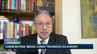 Beef: Brazil demands gradual export authorization from Europe, says Daoud