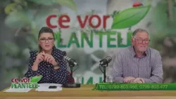 Cum plantam pomul altoit Cristina Ghibu si Horia Ghibu Cum plantam pomul altoit Cristina Ghibu si Horia Ghibu