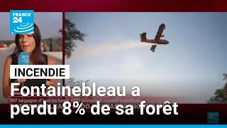 8% de la forêt de Fontainebleau a déjà brûlé, 600 pompiers toujours mobilisés • FRANCE 24
