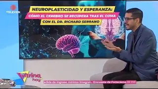 Neuroplasticity and Hope: How the Brain Recovers After a Coma – Vitrina Hoy 08/28/26
