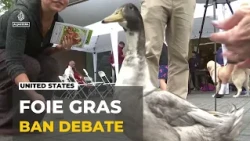 Foie gras debate goes to the ballots: Voters to decide foie gras ban on November 3
