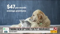 Consumer Reporters: Finding new options for pet insurance