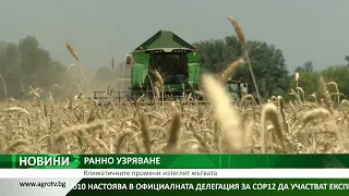 Климатичните промени изтеглят жътвата