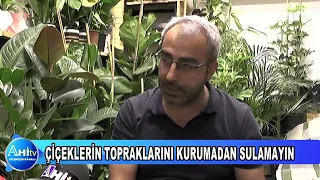 ÇİÇEKLERİN TOPRAKLARINI KURUMADAN SULAMAYIN