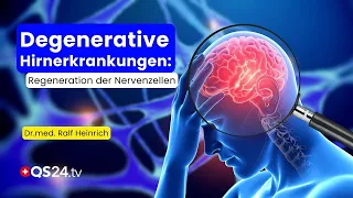 Degenerative Brain Diseases – How Electrical Impulses Regenerate Nerve Cells | QS24