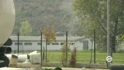 NOVA - Leševi svinja otvorili pitanje stočnog groblja u Danilovgradu, Anđela Šestović (17.10.2026.)