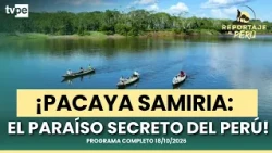 PACAYA SAMIRIA: The Amazonian paradise you must visit! Pink dolphins, adventure, and tradition