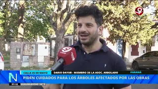 Arbolado Civil Association warns against the cutting of roots from 12 historic lapacho trees