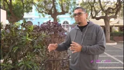 Festival Grito Rock Praia rumo à 10ª edição