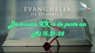 SUNDAY GOSPEL - 20th Sunday in Ordinary Time