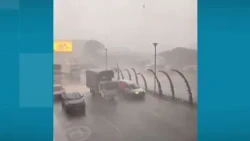 Heavy downpour causes fallen trees, flooding, and other damage in Medellín and Itagüí