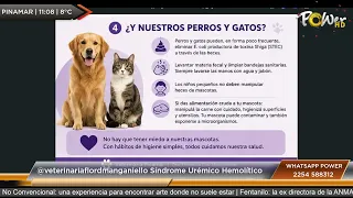 @veterinariaflordmanganiello Hemolytic Uremic Syndrome