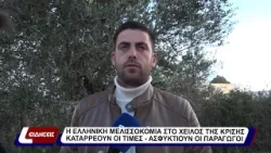 Η ελληνική μελισσοκομία στο χείλος της κρίσης. Καταρρέουν οι τιμές - Ασφυκτιούν οι παραγωγοί.