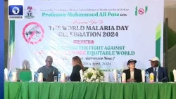 Increase Investment To Eliminate Malaria, WHO Urges Nigerian Government