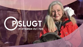 Opslugt - af at hjælpe dyr i nød