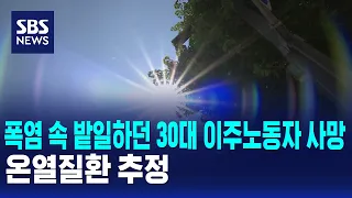 30-something migrant worker dies while farming in extreme heat... suspected heat-related illness ...