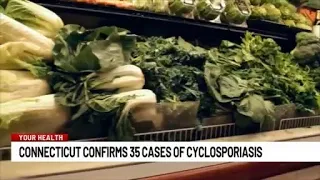 Connecticut confirms 35 cases of  cyclosporiasis