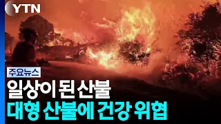 Wildfires Have Become the New Normal... A Major Crisis for Human Health / YTN