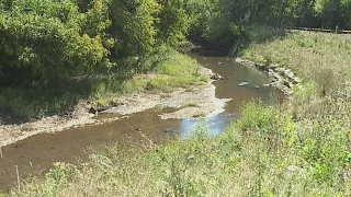 'Big Sweep' targets litter, invasive species in Winston-Salem this weekend