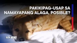 Animal Communicator, ibinahagi ang kakaibang pakikipag-ugnayan sa mga yumaong alagang hayop