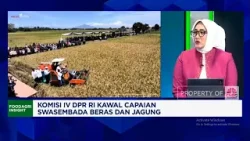 Sudah Swasembada & Indonesia Siap Ekspor Beras, DPR RI Ungkap Syaratnya!
