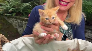 Pet CHEK: Do you know how to trim your cat’s nails?