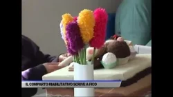 IL COMPARTO RIABILITATIVO E SOCIOSANITARIO SCRIVE AL PRESIDENTE DELLA...- SERVIZIO TG DEL 05/02/2026