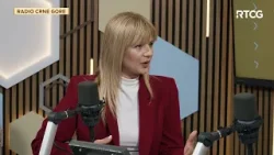 Nedović: Oštra retorika u parlamentu pokazuje nervozu bivše vlasti - LINK