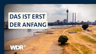 Feuer, Dürre, Tote: Wie wir mit der Hitze leben lernen müssen | die story | WDR