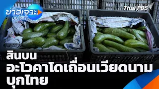 สินบนอะโวคาโดเถื่อนเวียดนามบุกไทย | ข่าวเจาะย่อโลก | 11 ก.ค. 69