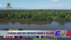 Censan aves del Refugio de Vida Silvestre Cuero y Salado de Atlántida Censan aves del Refugio de Vida Silvestre Cuero y Salado de Atlántida