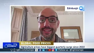 Global food prices surge: Is another food crisis looming?