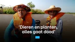 Amazone verandert door havens: wie profiteert? | RTL Nieuws