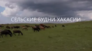 Специальный репортаж «Сельские будни Хакасии»
