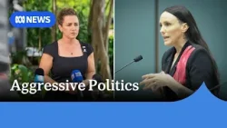 Hostile parliamentary attacks were a factor in Greens Kat McNamara quitting politics | ABC NEWS