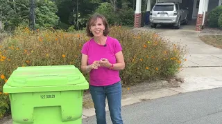Your City, This Week: August 31: Yard waste collection, Great Pup Meet Up, Labor Day city services!