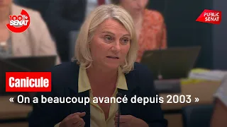 Managing the Heatwave: Government Hearing