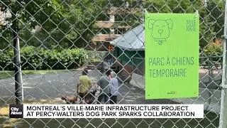 Ville-Marie officials & dog owners collaborate at Percy-Walters park
