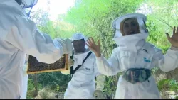 برنامج تربية النحل للمبتدئين في تيرا - إكسبو سيتي دبي